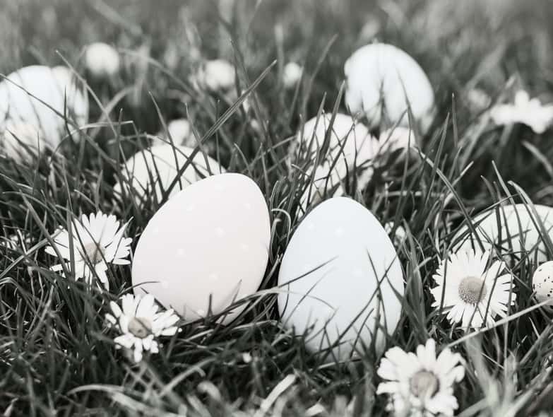 Chasse Aux Oeufs Bibliothèque
