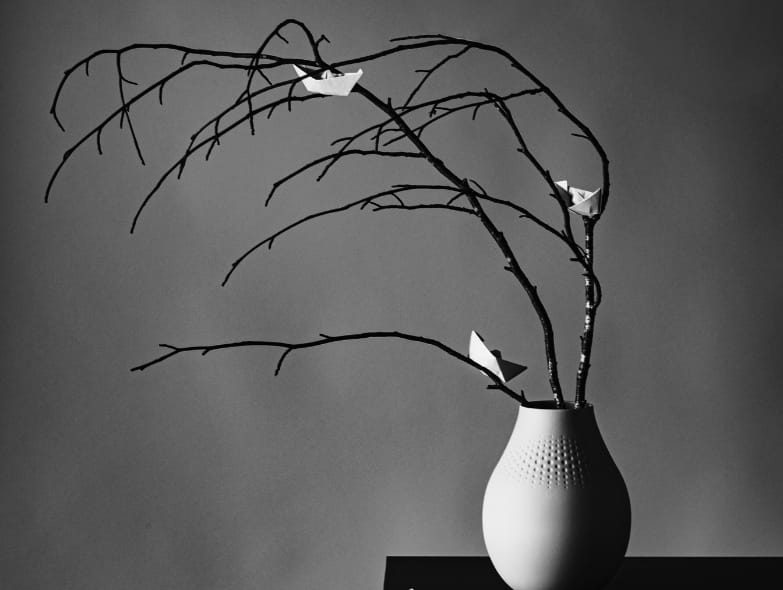 Corinne Cutullic PV Culture (1)