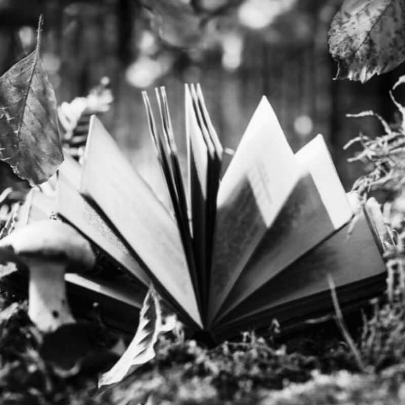 Histoires à doigts et contes