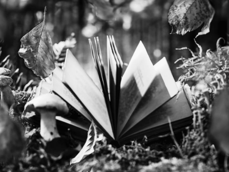 Histoire Et Contes