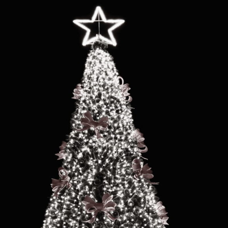 Le Sapin des Générations