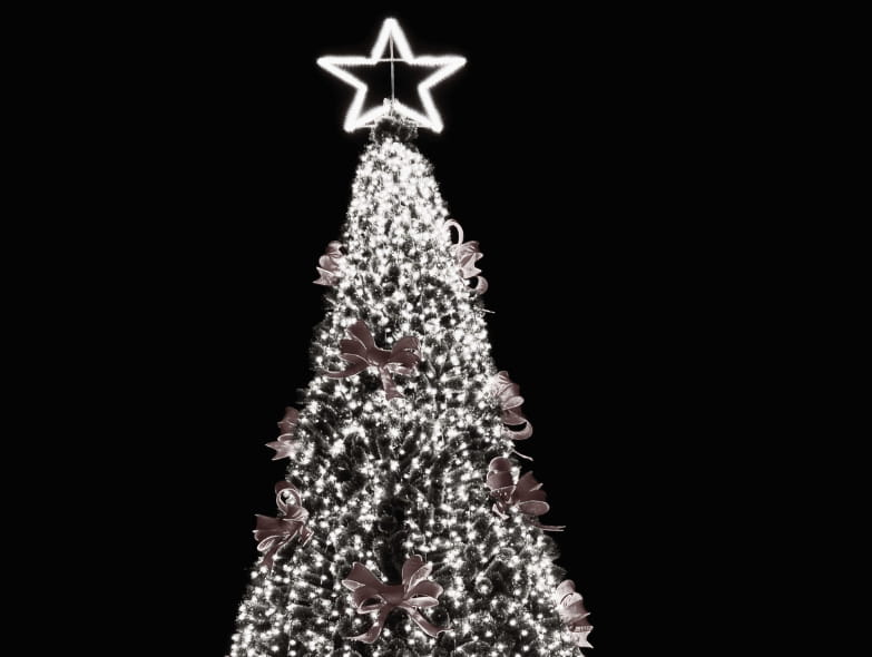 Sapin Des Générations (1)