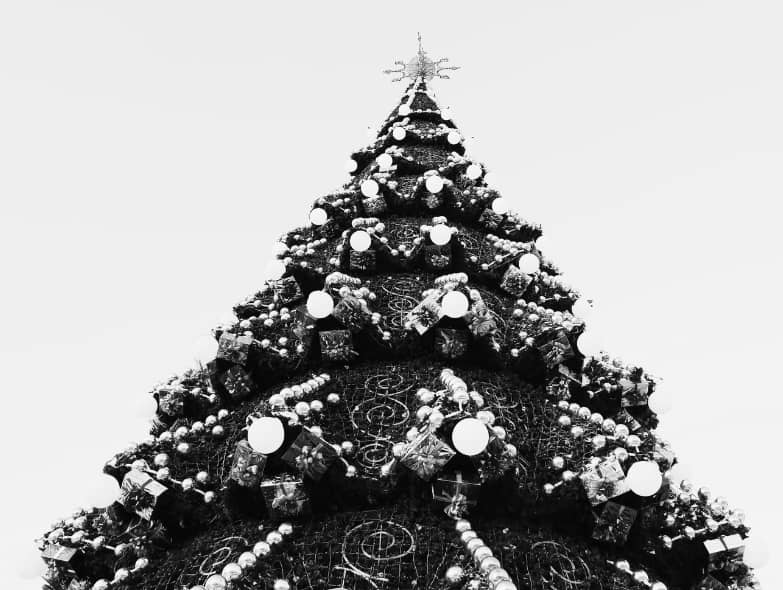 Sapin Des Générations