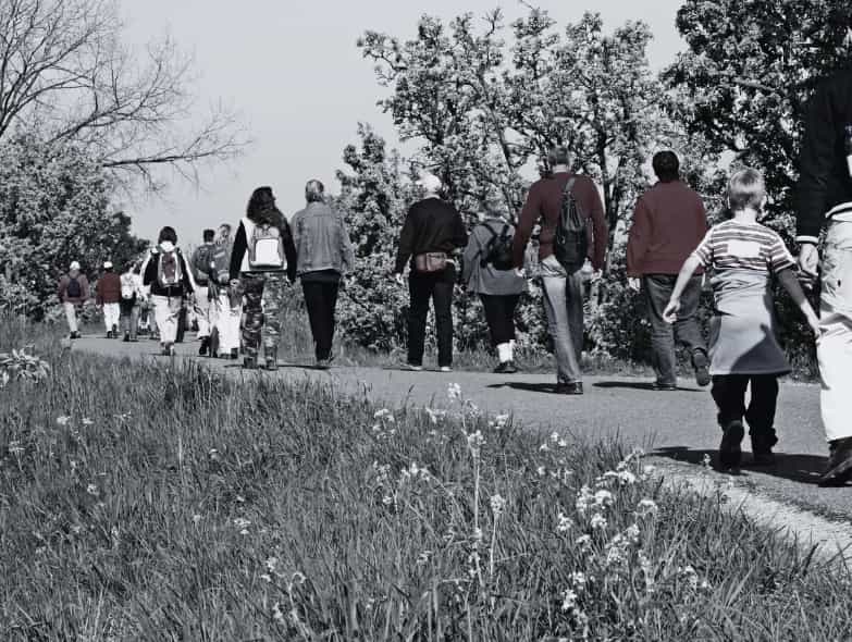 Truite Heureuse Site (1)