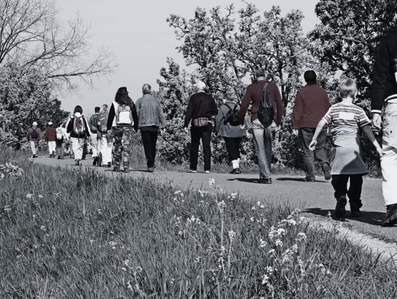 Truite Heureuse Site